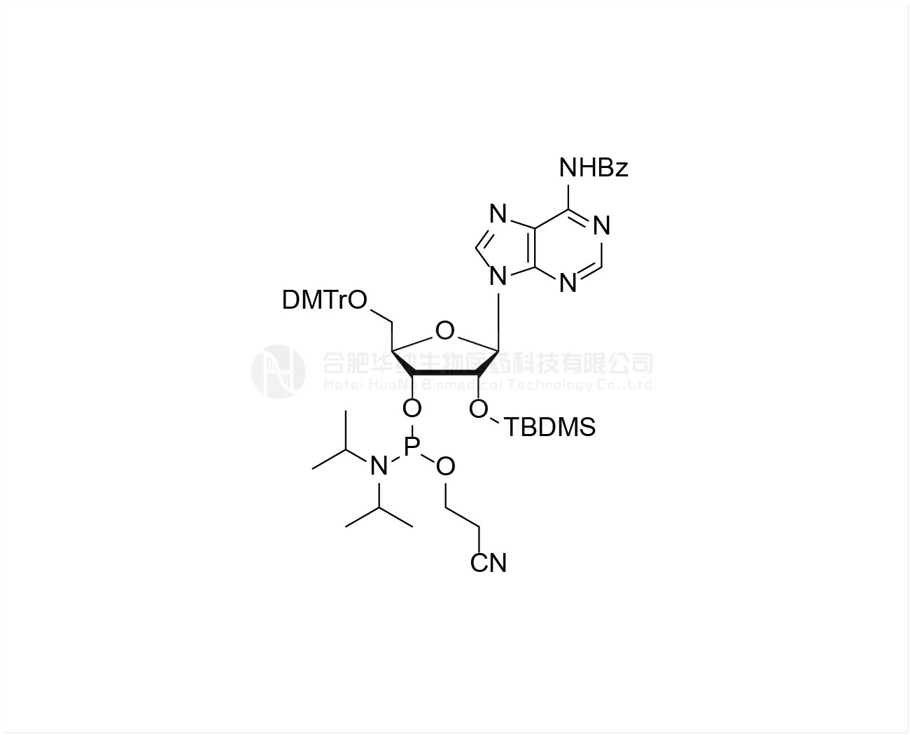 DMTr-2'-O-TBDMS-rA(Bz)-3'-CE-Phosphoramidite