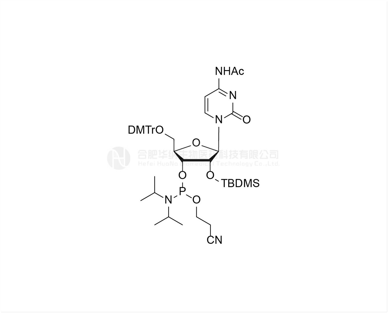 DMTr-2'-O-TBDMS-rC(Ac)-3'-CE -Phosphoramidite