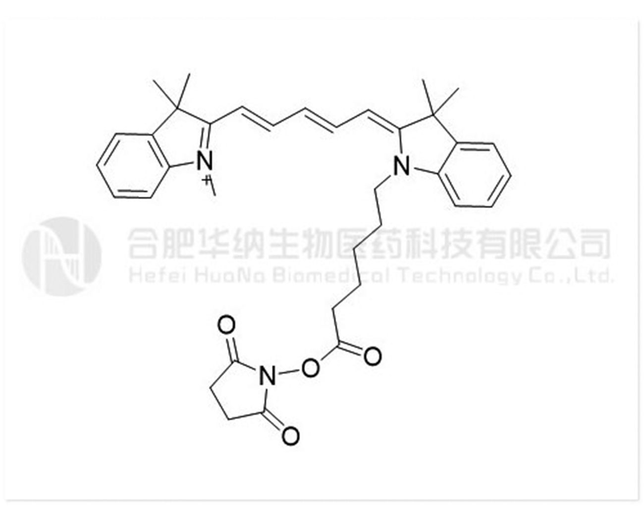 Lipo Cy5(Me)-SE