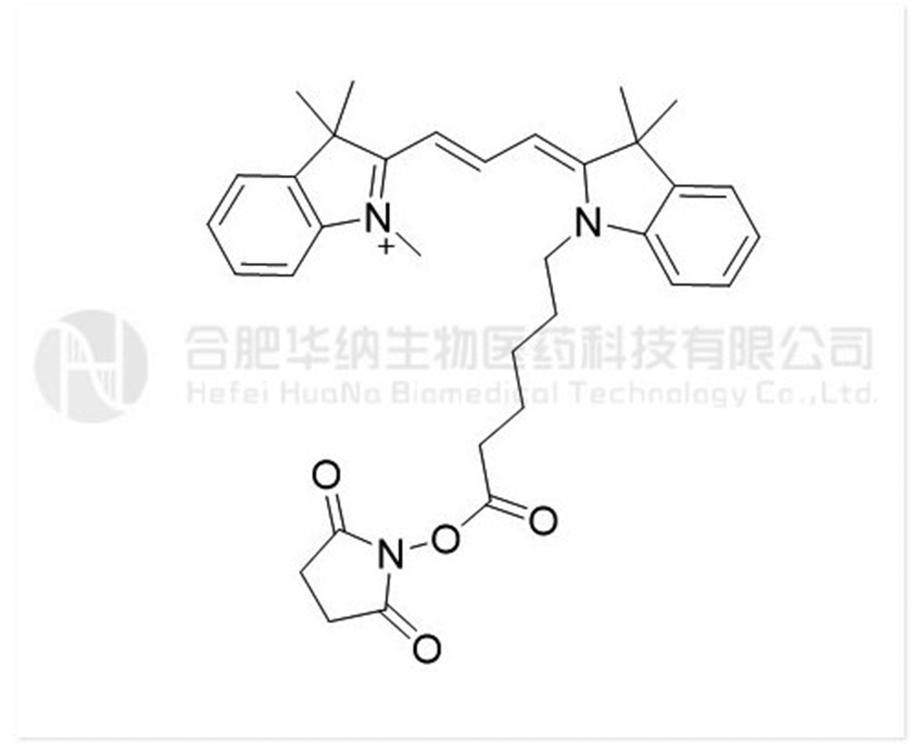 Lipo Cy3(Me)-SE