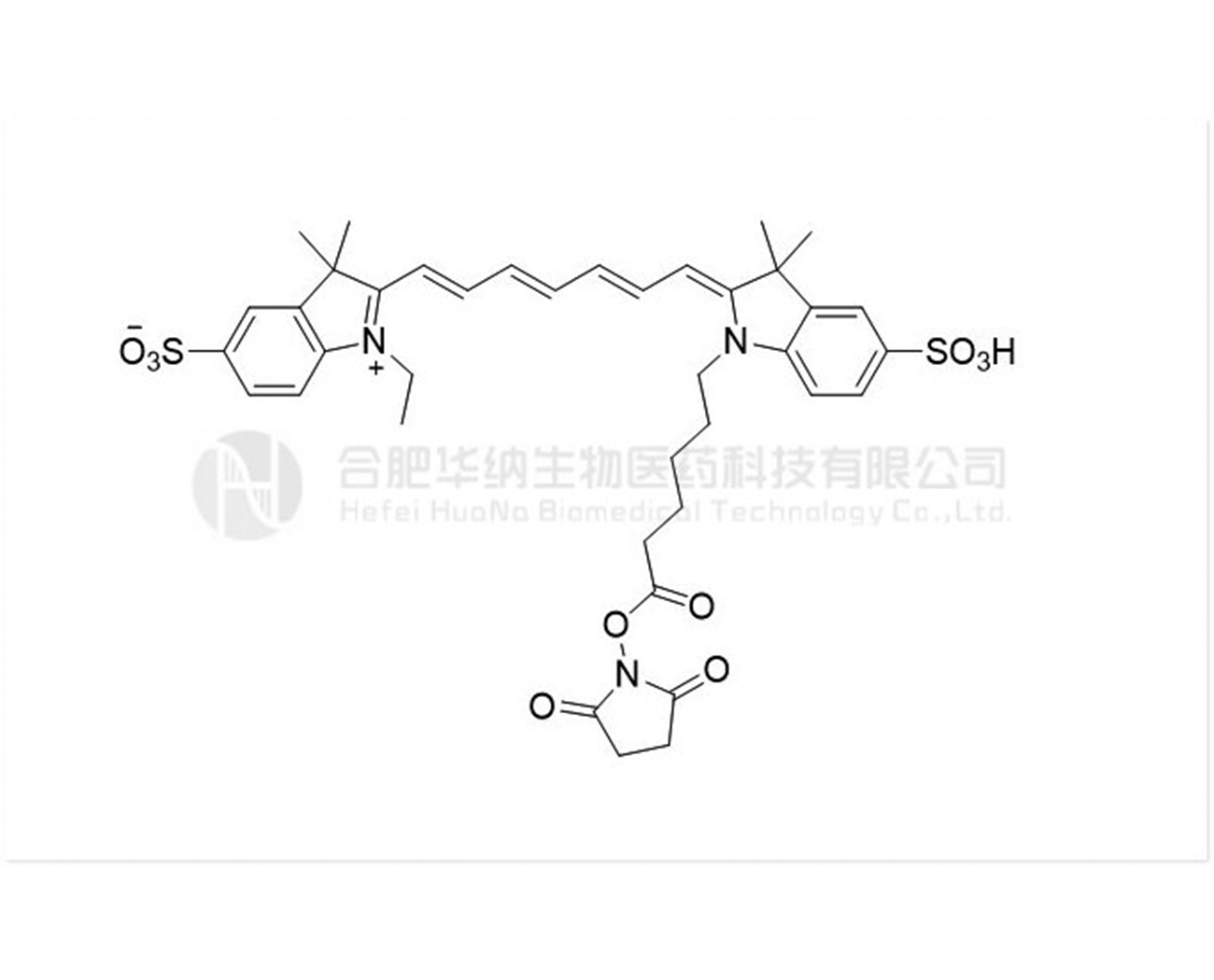 Cy7-SE;Cy7 NHS Ester